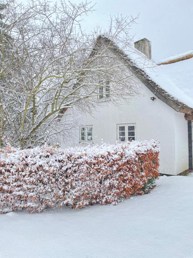 Apple Cottage Vejby Екстериор снимка