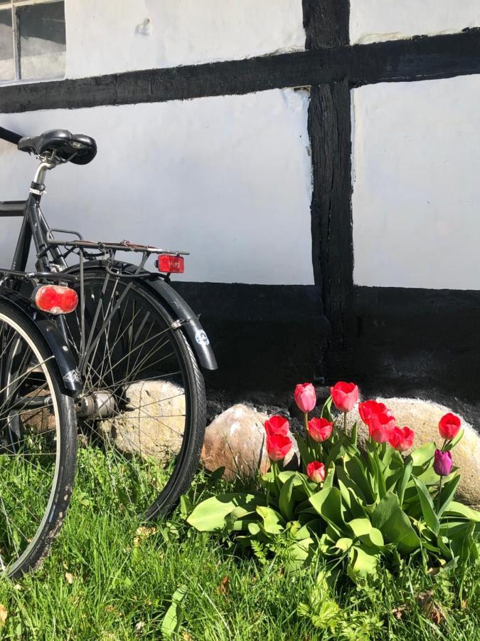 Apple Cottage Vejby Екстериор снимка