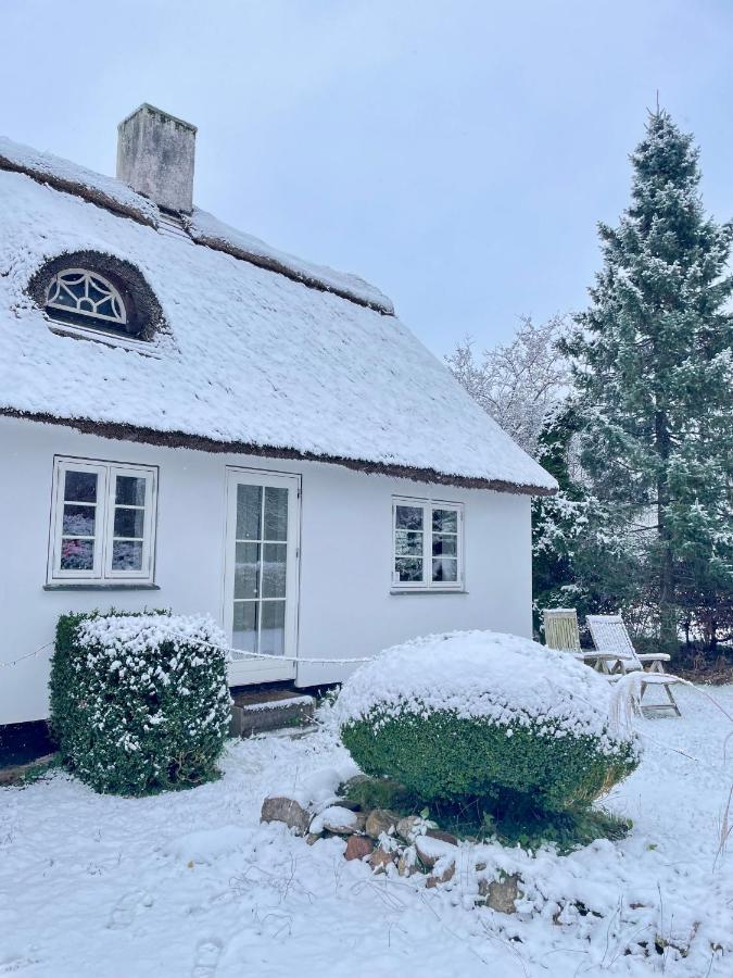 Apple Cottage Vejby Екстериор снимка