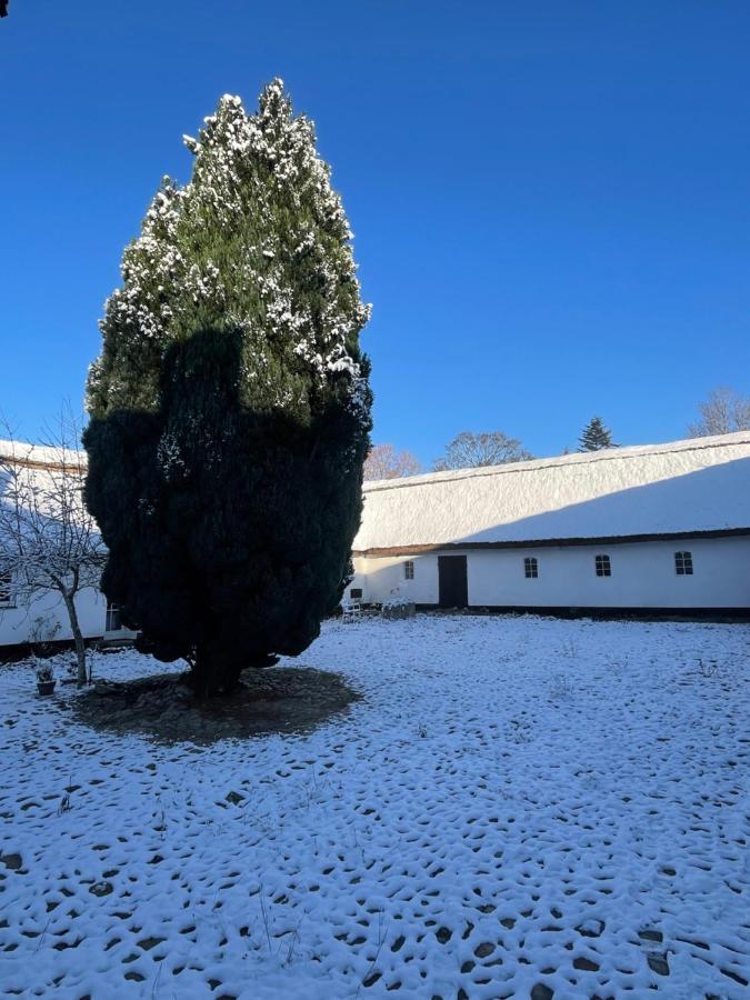 Apple Cottage Vejby Екстериор снимка
