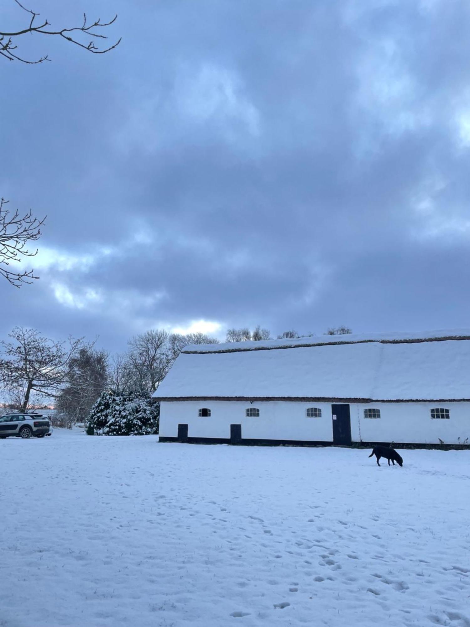 Apple Cottage Vejby Екстериор снимка