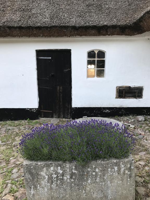 Apple Cottage Vejby Екстериор снимка