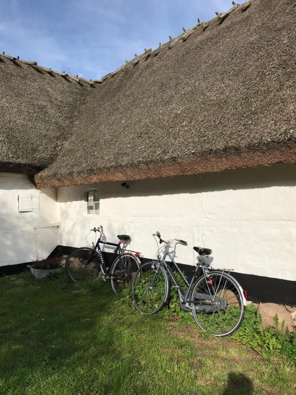 Apple Cottage Vejby Екстериор снимка
